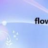 flow（關于flow的簡介）