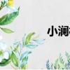 小瀾村（關于小瀾村簡介）