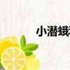 小潛蛾科（關于小潛蛾科簡介）