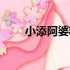 小添阿婆粽（關于小添阿婆粽簡介）