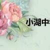小湖中學（關于小湖中學簡介）
