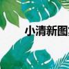 小清新圖集（關于小清新圖集簡介）