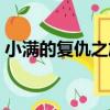小滿的復仇之旅（關于小滿的復仇之旅簡介）
