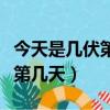 今天是幾伏第幾天什么時候立秋(今天是幾伏第幾天)