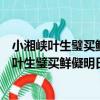 小湘峽葉生璧買鮮儗明日攜游三洲巖詩以戲之（關于小湘峽葉生璧買鮮儗明日攜游三洲巖詩以戲之簡介）
