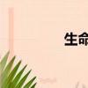 生命樹 吳雨霏(生命樹)