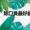 除口臭最好最有效的方法(如何去除口臭)