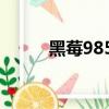 黑莓9850連接熱點(黑莓9850)