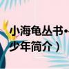 小海龜叢書·尋寶少年（關于小海龜叢書·尋寶少年簡介）