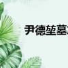 尹德堃墓志（關于尹德堃墓志簡介）