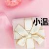 小溫柔（關于小溫柔簡介）