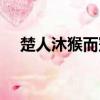 楚人沐猴而冠什么意思(楚人沐猴而冠)