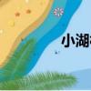 小湖村（關于小湖村簡介）