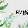 FM修改器（fm2009修改器）