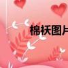 棉襖圖片（關于棉襖圖片的簡介）