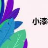小漆樹（關于小漆樹簡介）