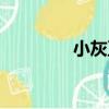 小灰豆（關于小灰豆簡介）