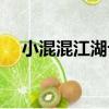 小混混江湖記（關于小混混江湖記簡介）