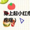 身上起小紅疙瘩中間有個小水泡（身上起小紅疙瘩）