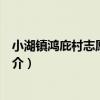 小湖鎮鴻庇村志愿服務隊（關于小湖鎮鴻庇村志愿服務隊簡介）