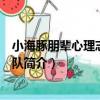 小海豚朋輩心理志愿服務隊（關于小海豚朋輩心理志愿服務隊簡介）