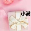 小潢河（關于小潢河簡介）