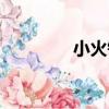 小火鍋（關于小火鍋簡介）