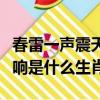 春雷一聲震天響指什么生血肖（一聲春雷震天響是什么生肖）
