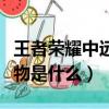 王者榮耀中遠古生物是什么(王者榮耀遠古生物是什么)