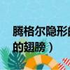 騰格爾隱形的翅膀是哪個節目（騰格爾 隱形的翅膀）