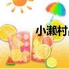 小瀨村晶（關于小瀨村晶簡介）