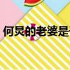 何炅的老婆是干什么工作的(何炅的老婆是)