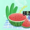 橫漂（關于橫漂的簡介）