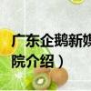 廣東企鵝新媒體學院（關于廣東企鵝新媒體學院介紹）