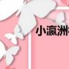 小瀛洲社（關于小瀛洲社簡介）
