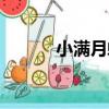 小滿月蛤（關于小滿月蛤簡介）