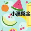 小涅槃金身（關于小涅槃金身簡介）