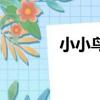 小小鳥（關于小小鳥的簡介）