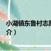 小湖鎮東魯村志愿服務隊（關于小湖鎮東魯村志愿服務隊簡介）