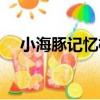 小海豚記憶枕（關于小海豚記憶枕簡介）