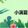 小滿夏韻（關于小滿夏韻簡介）