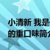 小清新 我是你的重口味（關于小清新 我是你的重口味簡介）