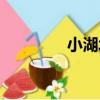 小湖北（關于小湖北簡介）