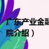 廣東產業金融研究院（關于廣東產業金融研究院介紹）