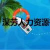 深勞人力資源有限公司電話（深勞人力資源）