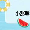 小漲堰壩（關于小漲堰壩簡介）