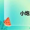 小炮兒（關于小炮兒簡介）