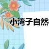 小灣子自然村（關于小灣子自然村簡介）