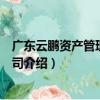 廣東云鵬資產管理有限公司（關于廣東云鵬資產管理有限公司介紹）