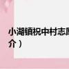 小湖鎮祝中村志愿服務隊（關于小湖鎮祝中村志愿服務隊簡介）